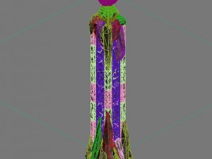 rocking hill - conch stone column Modèle 3D