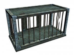 church hospital - cage 01 3D Model