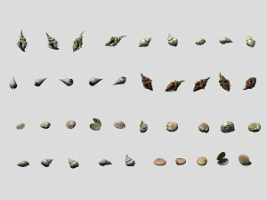 vampiro sinat - concha 01 Modelo 3D