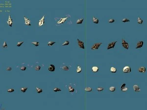 vampire sinat - shell 01 3D Model