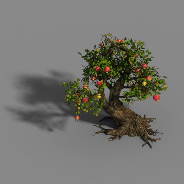grass temple village - tree 02 Modèle 3D .c4d .max .obj .3ds .fbx .stl .blend 