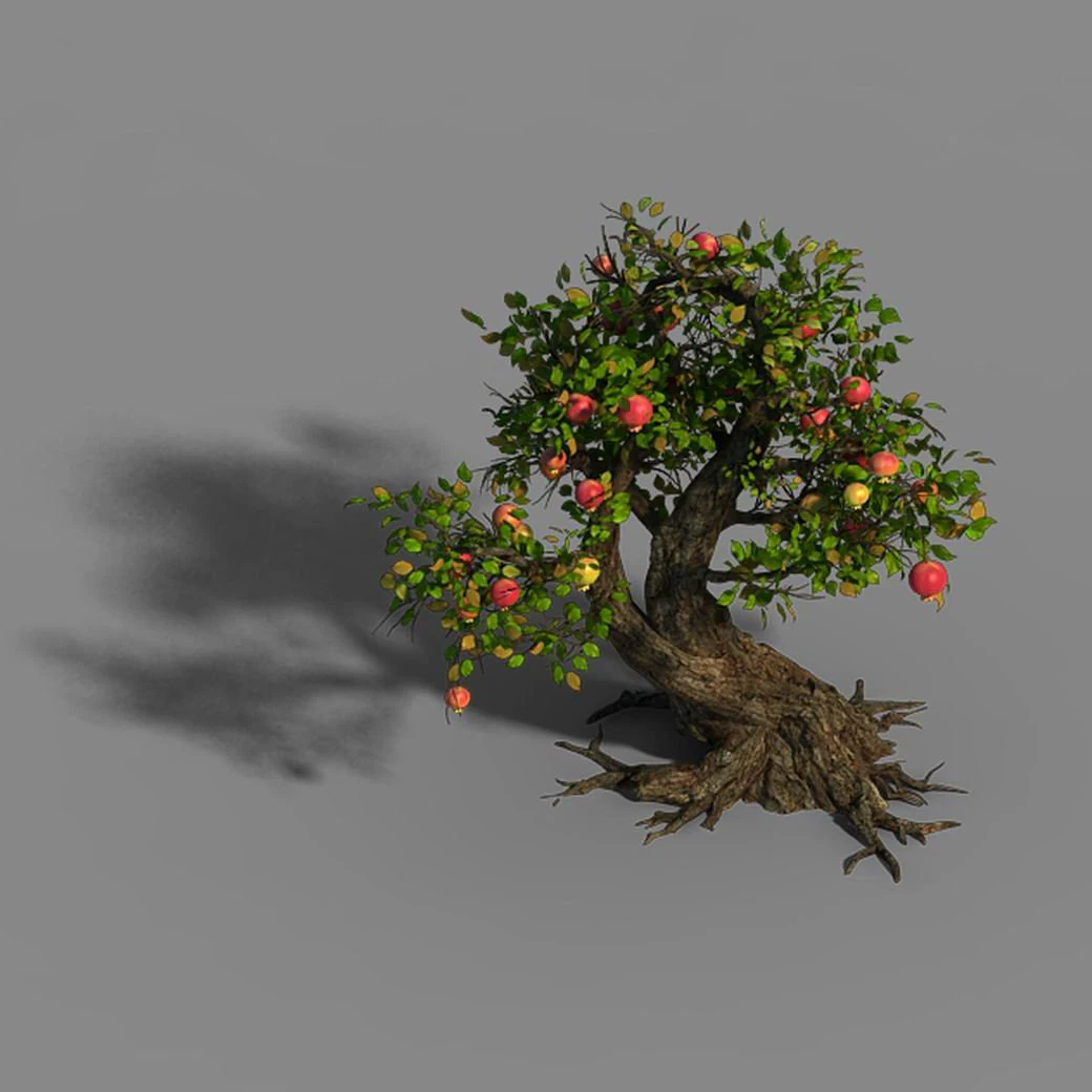 grass temple village - tree 02 3D Model .c4d .max .obj .3ds .fbx .stl .blend 