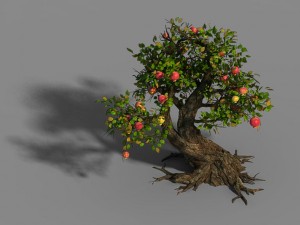 grass temple village - tree 02 Modèle 3D