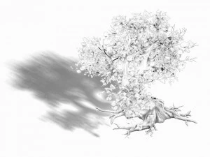 grass temple village - tree 02 3D Model