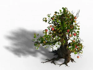 grass temple village - tree 02 3D Model