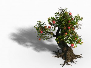 grass temple village - tree 02 Modèle 3D