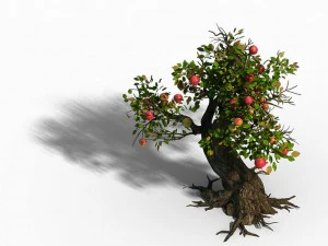 grass temple village - tree 02 3D Model