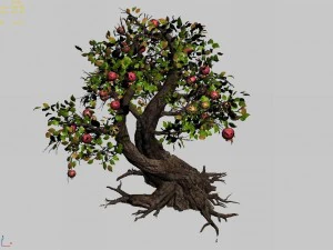 grass temple village - tree 02 3D Model