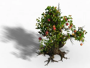 grass temple village - tree 02 3D Model
