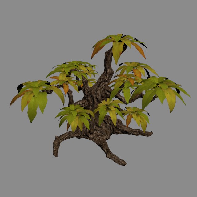grass temple village - shrubs 01 Modelo 3D .c4d .max .obj .3ds .fbx .stl .blend 