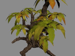 grass temple village - shrubs 01 Modelo 3D