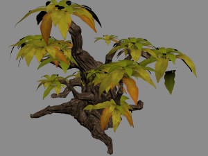 grass temple village - shrubs 01 Modelo 3D