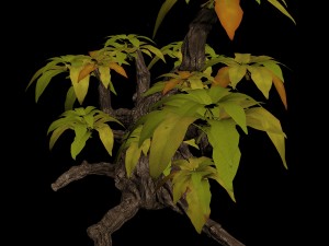 grass temple village - shrubs 01 Modelo 3D