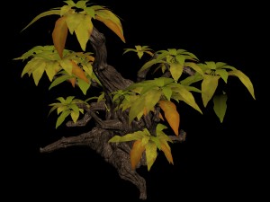 grass temple village - shrubs 01 Modelo 3D
