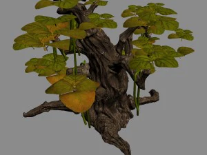 grass temple village - shrubs 02 3D Model