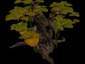 grass temple village - shrubs 02 3D Model