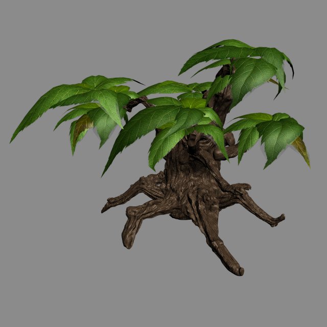 grass temple village - shrub 03 Model 3D .c4d .max .obj .3ds .fbx .stl .blend 