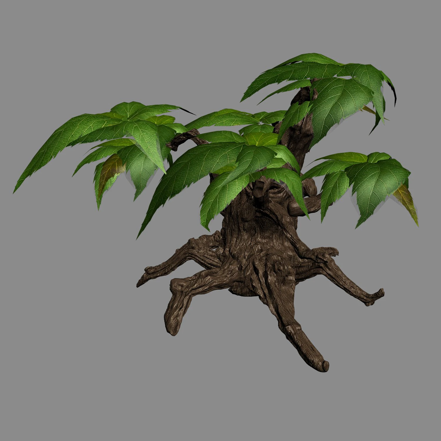 grass temple village - shrub 03 3D Model .c4d .max .obj .3ds .fbx .stl .blend 