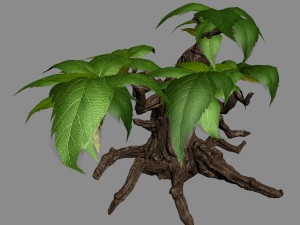 grass temple village - shrub 03 Model 3D