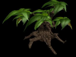 grass temple village - shrub 03 3D Model