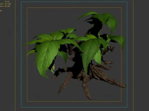 grass temple village - shrub 03 3D Model