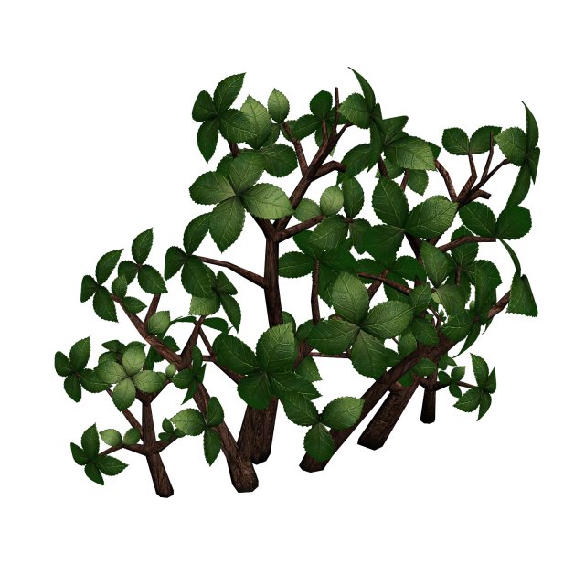 grass temple village - special plant 02 3D Model .c4d .max .obj .3ds .fbx .stl .blend