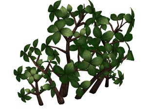 grass temple village - special plant 02 Model 3D