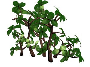 grass temple village - special plant 02 3D Model