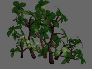 grass temple village - special plant 02 3D Model