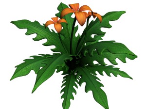 grass temple village - special plant 03 3D Model