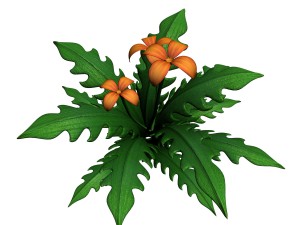 grass temple village - special plant 03 3D Model