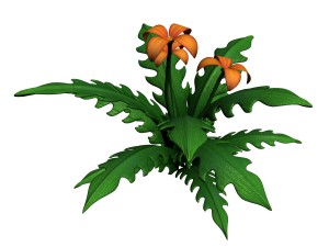 grass temple village - special plant 03 3D Model