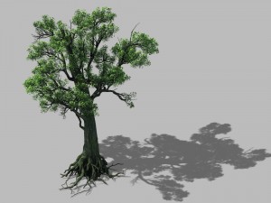big tree 1101 Model 3D