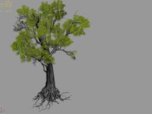 big tree 1101 3Dモデル