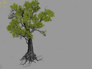 big tree 1101 3D Model