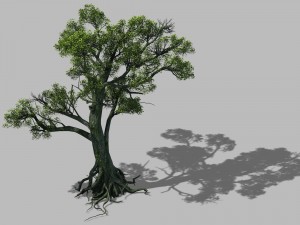 big tree 1102 3D Модель