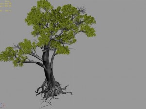 big tree 1102 Model 3D