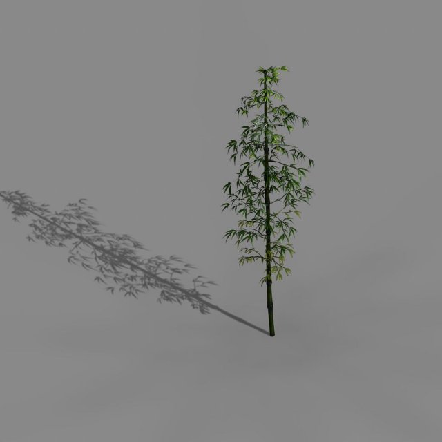 dazhu feng - black knot bamboo 01 3D मॉडल .c4d .max .obj .3ds .fbx .stl .blend 