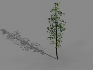 dazhu feng - black knot bamboo 01 3D 模型