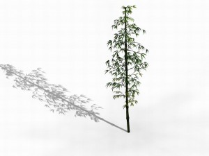 dazhu feng - black knot bamboo 01 3D मॉडल