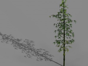 dazhu feng - black knot bamboo 01 3D मॉडल