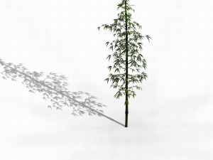 dazhu feng - black knot bamboo 01 3D मॉडल