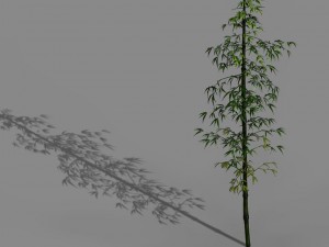 dazhu feng - black knot bamboo 01 3D मॉडल