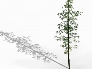 dazhu feng - black knot bamboo 01 3D मॉडल