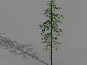dazhu feng - black knot bamboo 01 3D मॉडल