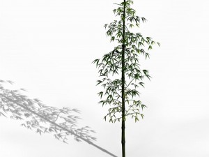 dazhu feng - black knot bamboo 01 3D मॉडल