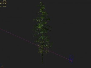 dazhu feng - black knot bamboo 01 3D मॉडल