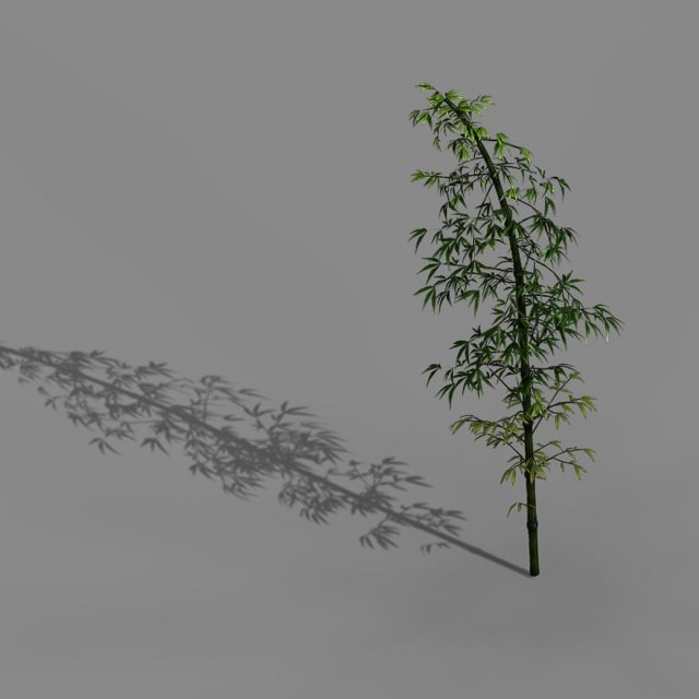 dazhu feng - black knot bamboo 02 3D Model .c4d .max .obj .3ds .fbx .stl .blend 