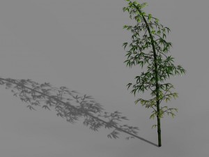 dazhu feng - black knot bamboo 02 3D Model