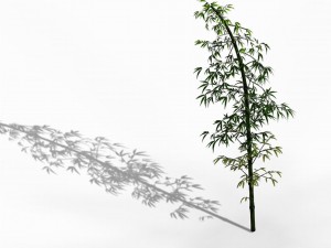 dazhu feng - black knot bamboo 02 3D Model